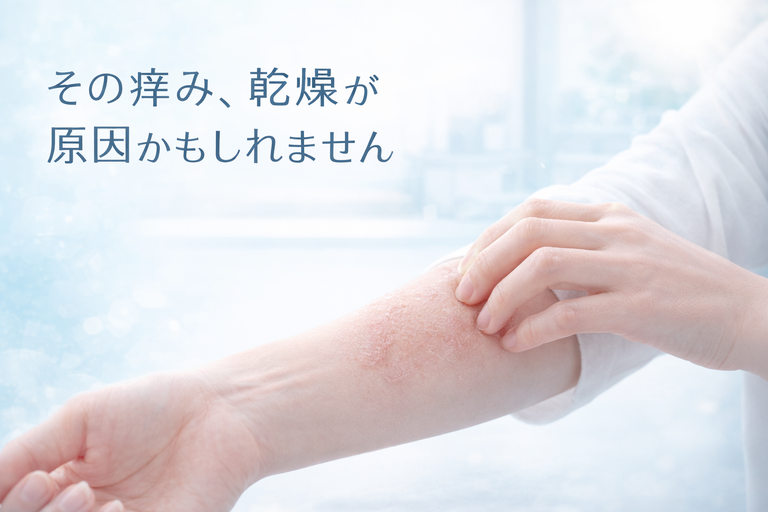 皮脂欠乏性湿疹とは?原因・症状・治療を皮膚科医が解説